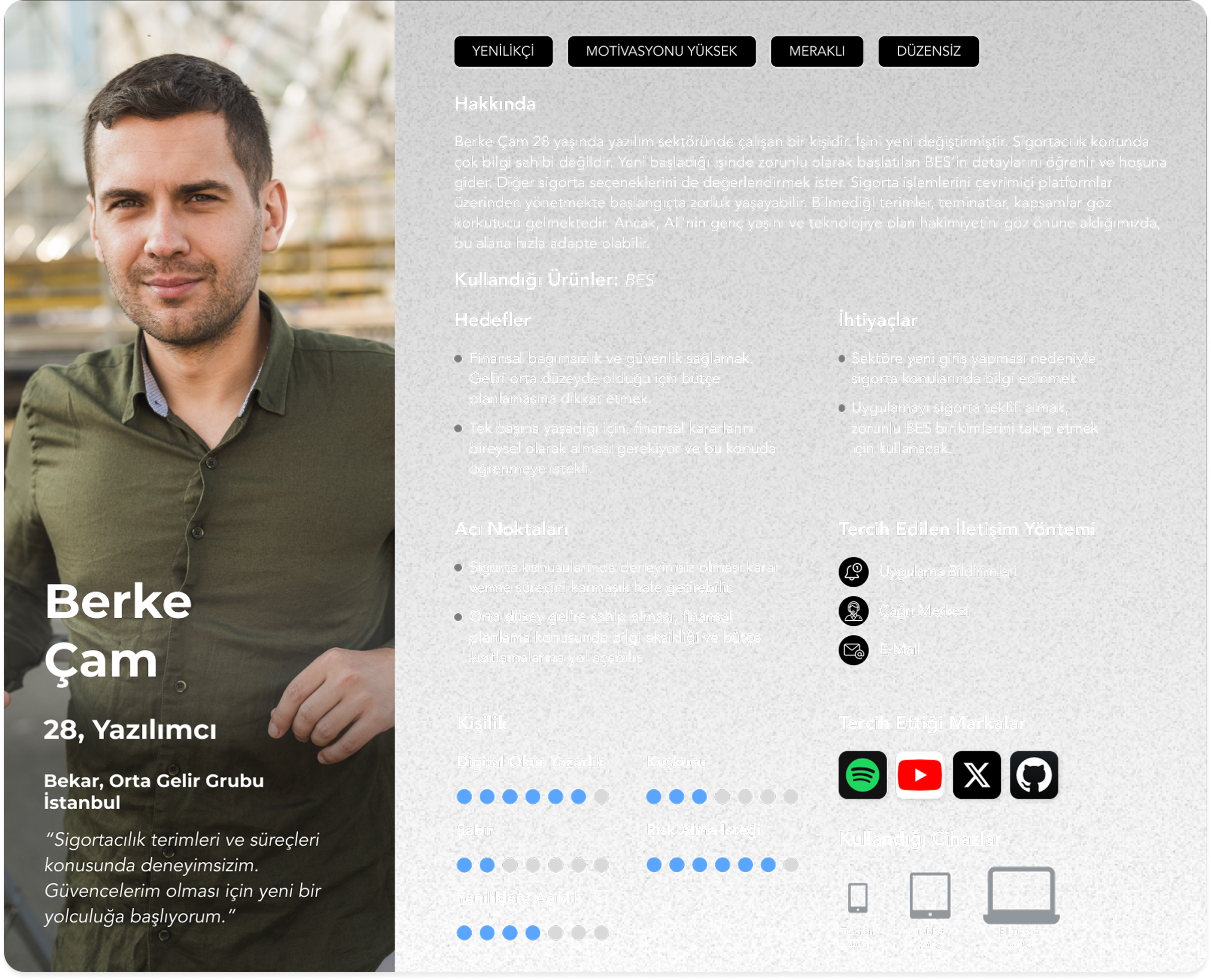 Persona örnek görseli